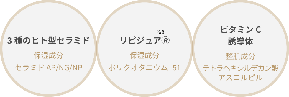 乾燥小じわも目立たなく※3、肌の土台を整え※1
みずみずしいツヤのある肌へ 