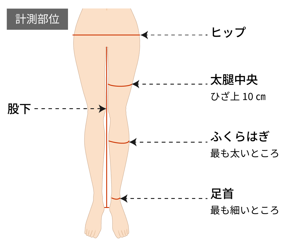 計測部位