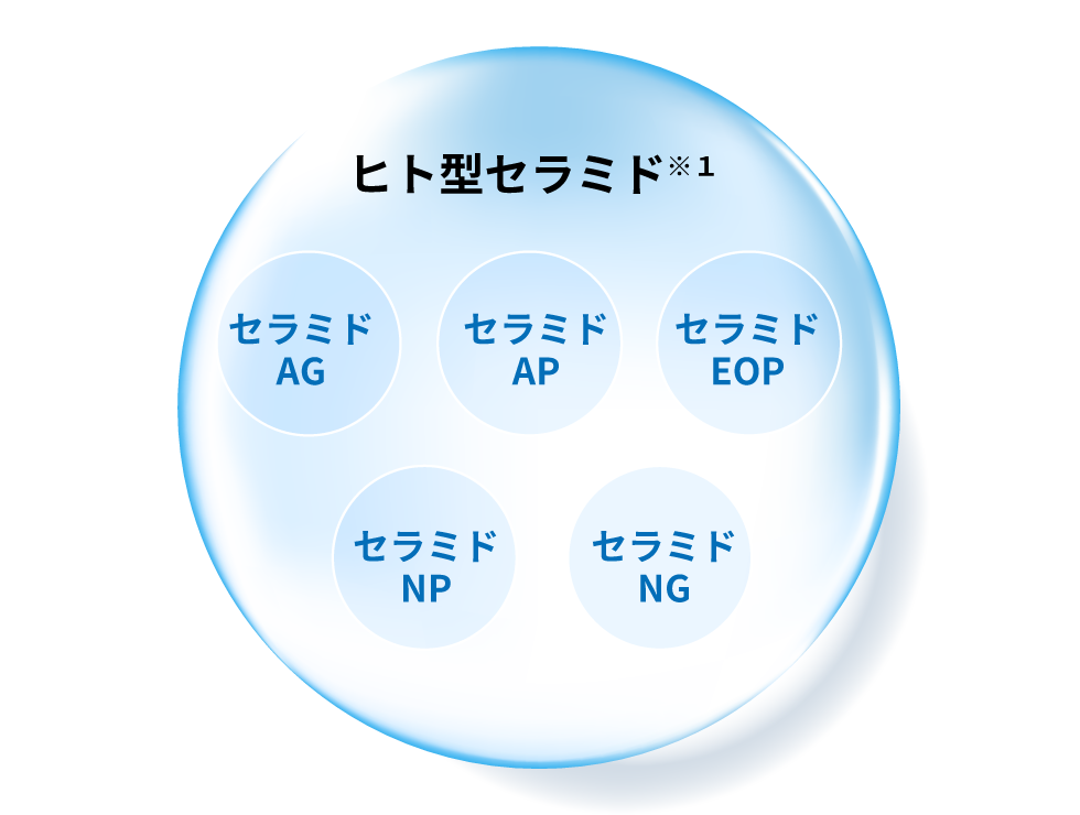 「ヒト型セラミド※1」配合で
深く※2すみずみまでうるおう