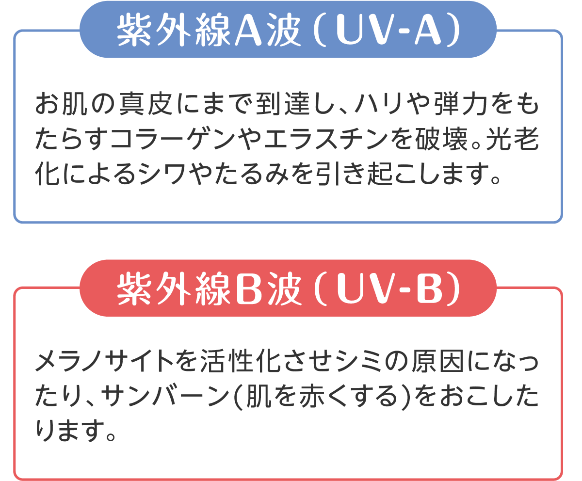 紫外線A波(UV-A) 紫外線B波(UV-B)とは？