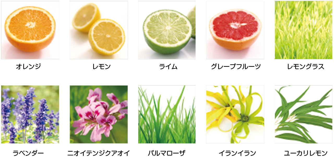 オレンジ レモン ライム グレープフルーツ レモングラス ラベンダー ニオイテンジクアオイ パルマローザ イランイラン ユーカリレモン